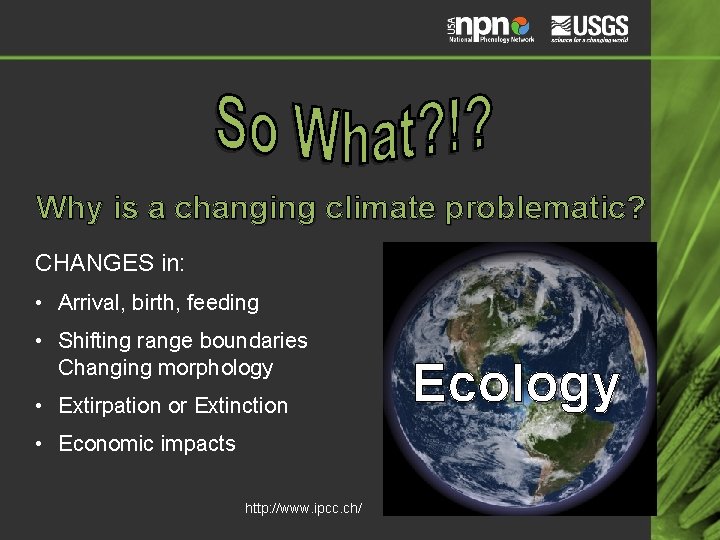 Why is a changing climate problematic? CHANGES in: • Arrival, birth, feeding • Shifting