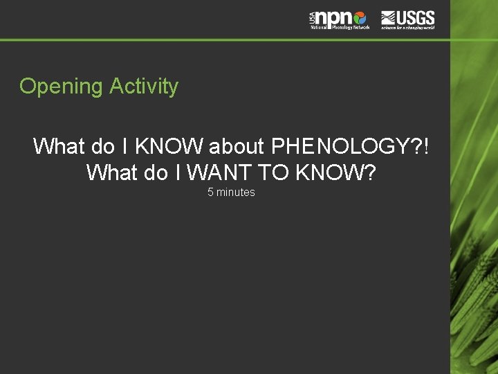 Opening Activity What do I KNOW about PHENOLOGY? ! What do I WANT TO