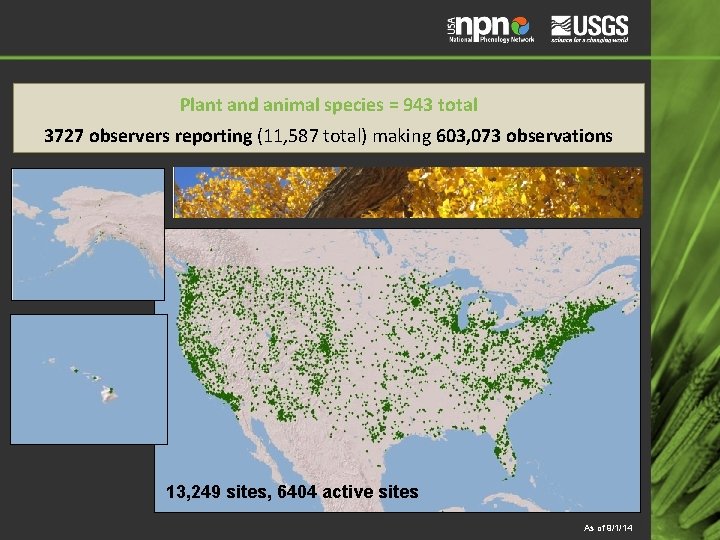 Plant and animal species = 943 total 3727 observers reporting (11, 587 total) making