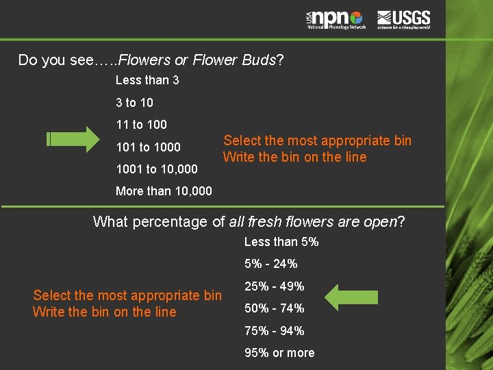 Do you see…. . Flowers or Flower Buds? Less than 3 3 to 10