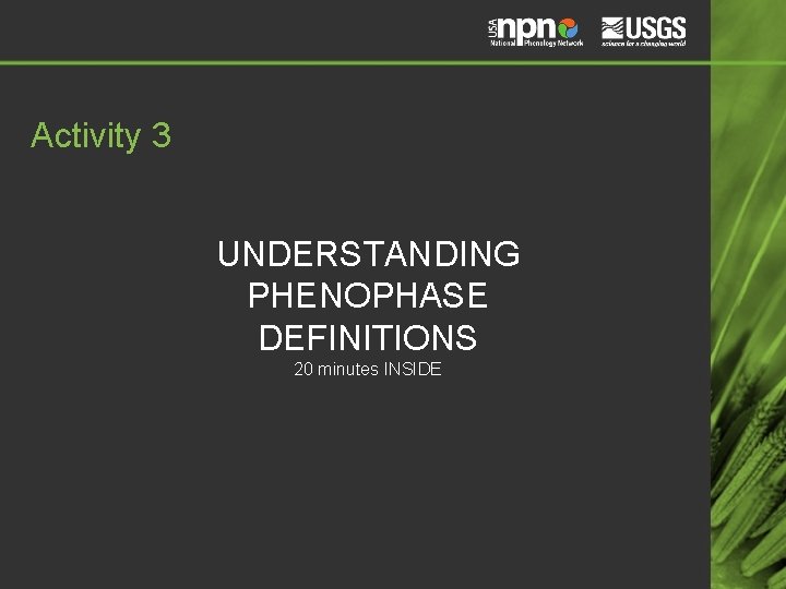 Activity 3 UNDERSTANDING PHENOPHASE DEFINITIONS 20 minutes INSIDE 