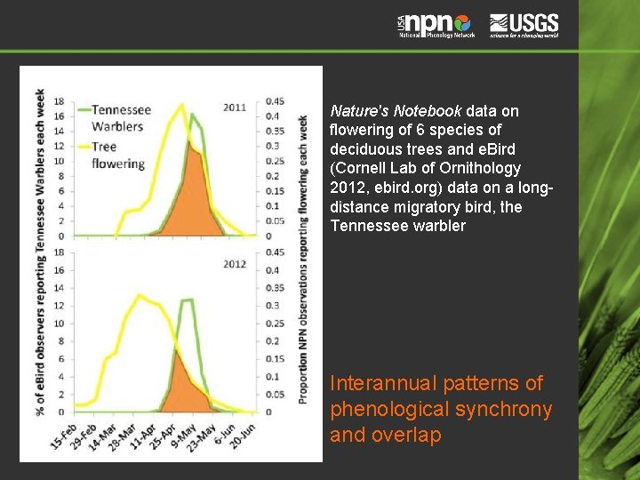 Nature's Notebook data on flowering of 6 species of deciduous trees and e. Bird