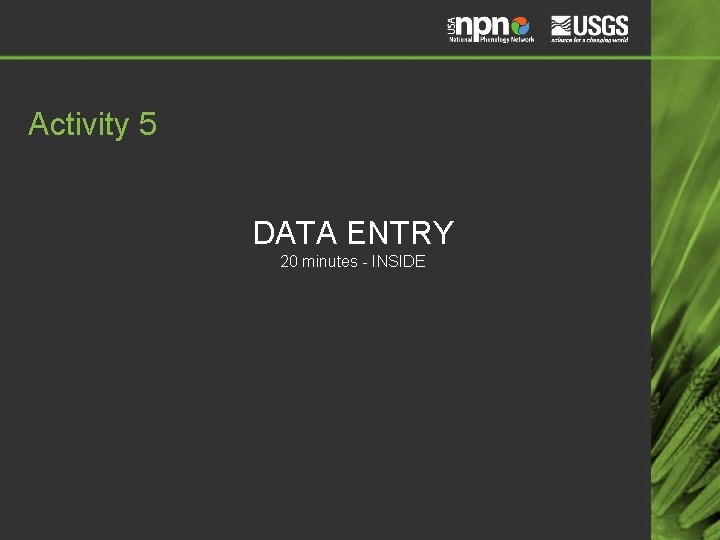 Activity 5 DATA ENTRY 20 minutes - INSIDE 