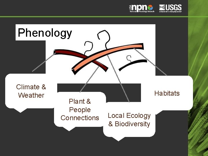 Phenology Climate & Weather Habitats Plant & People Connections Local Ecology & Biodiversity 