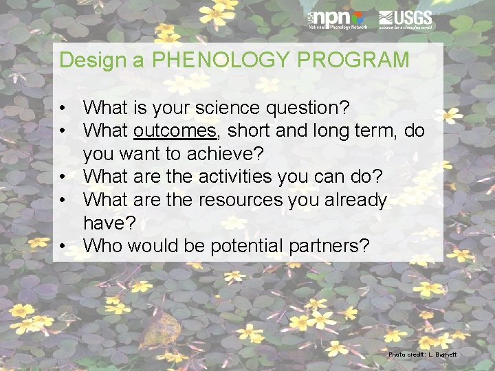 Design a PHENOLOGY PROGRAM • What is your science question? • What outcomes, short