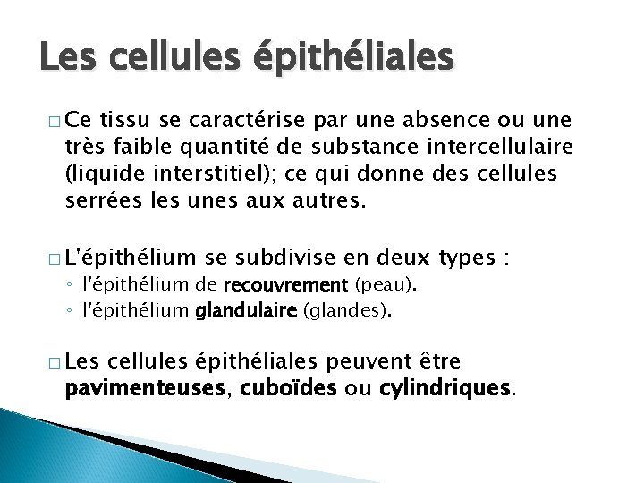 Les cellules épithéliales � Ce tissu se caractérise par une absence ou une très