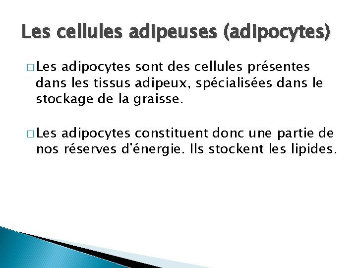 Les cellules adipeuses (adipocytes) � Les adipocytes sont des cellules présentes dans les tissus