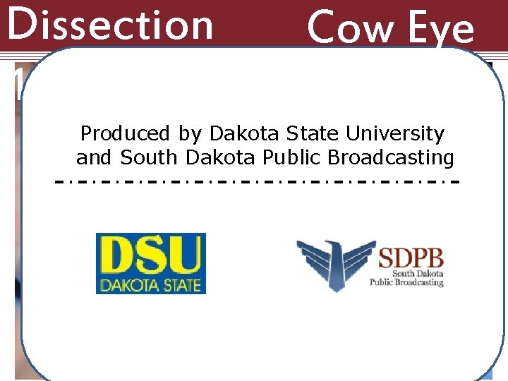 Dissection 101: Cow Eye Produced by Dakota State University and South Dakota Public Broadcasting