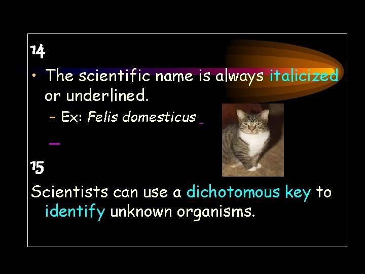 14 • The scientific name is always italicized or underlined. – Ex: Felis domesticus