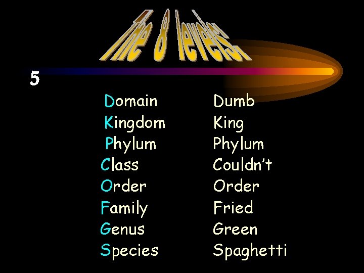 5 Domain Kingdom Phylum Class Order Family Genus Species Dumb King Phylum Couldn’t Order