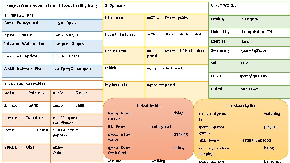 Punjabi Year 9 Autumn term 2 Topic: Healthy Living 1. Fruits Pl Phal Anwr