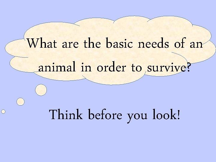 What are the basic needs of an animal in order to survive? Think before
