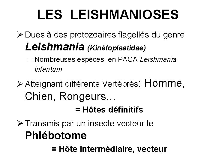 LES LEISHMANIOSES Dues à des protozoaires flagellés du genre Leishmania (Kinétoplastidae) – Nombreuses espèces: