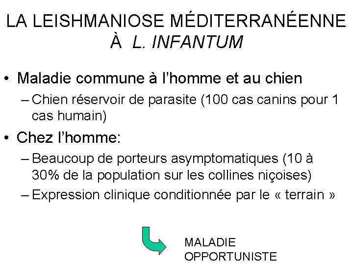 LA LEISHMANIOSE MÉDITERRANÉENNE À L. INFANTUM • Maladie commune à l’homme et au chien