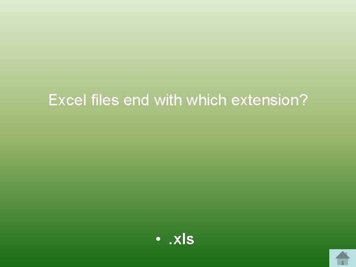 Excel files end with which extension? • . xls 