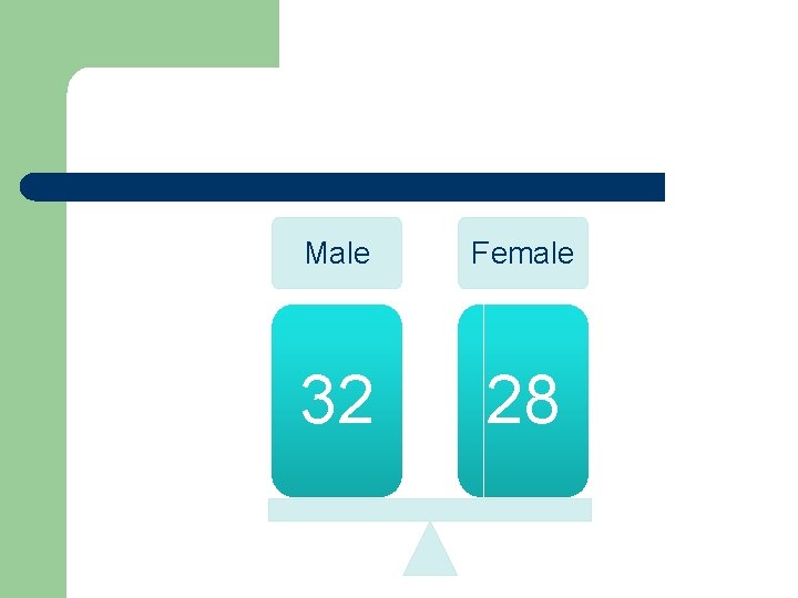 Male Female 32 28 