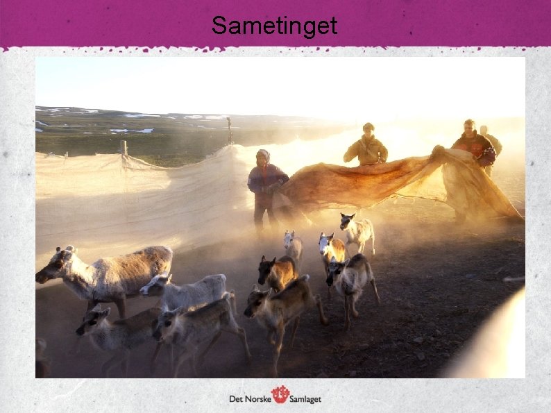 Sametinget 