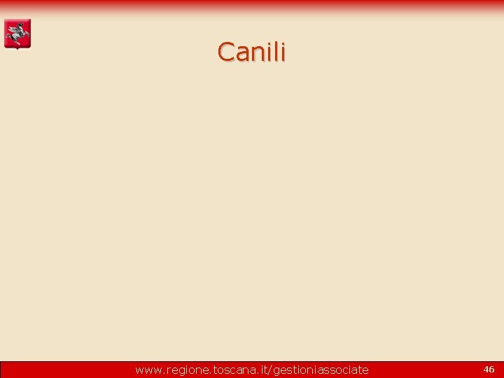 Canili www. regione. toscana. it/gestioniassociate 46 