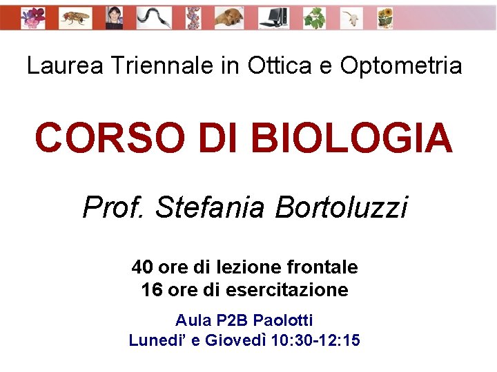 Laurea Triennale in Ottica e Optometria CORSO DI BIOLOGIA Prof. Stefania Bortoluzzi 40 ore