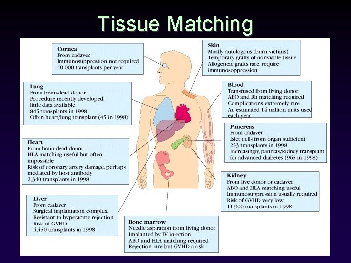 Tissue Matching 