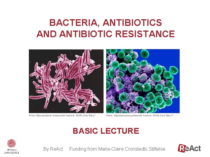 BACTERIA, ANTIBIOTICS AND ANTIBIOTIC RESISTANCE Photo: Mycobacterium tuberculosis bacteria, NIAID (from flickr). 1 Photo: