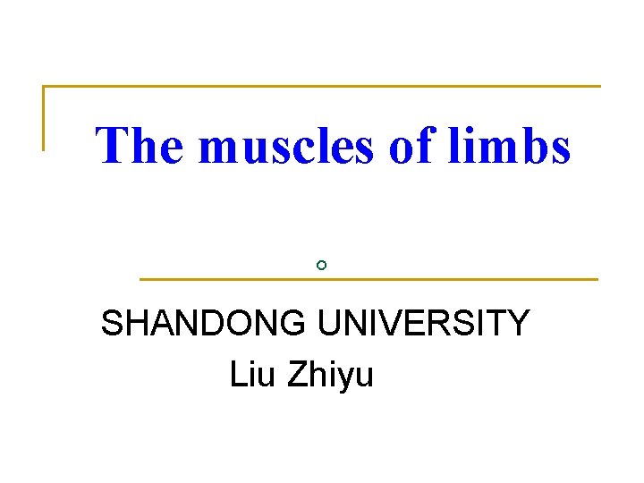 The muscles of limbs 。 SHANDONG UNIVERSITY Liu Zhiyu 