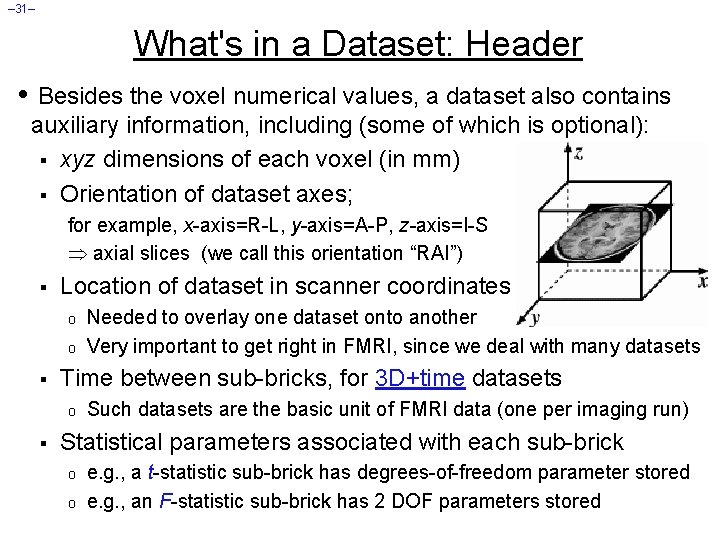 – 31– What's in a Dataset: Header • Besides the voxel numerical values, a