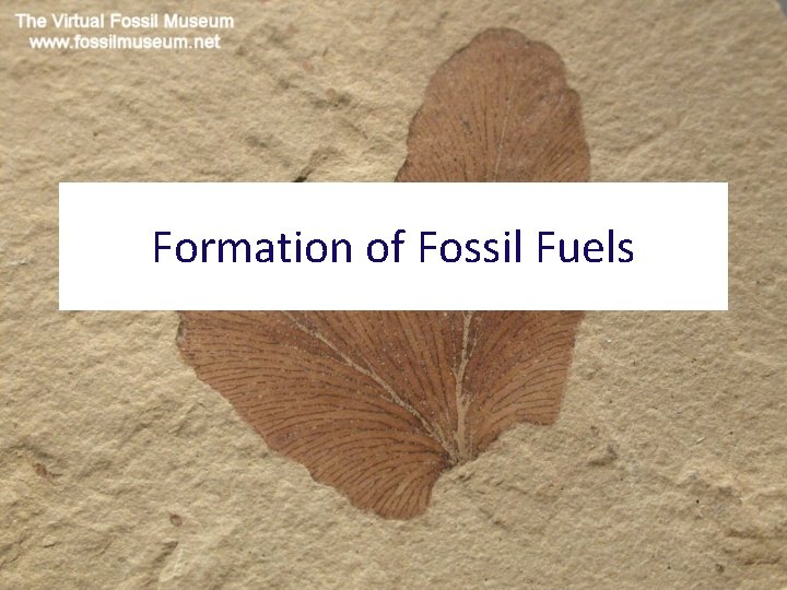 Formation of Fossil Fuels 