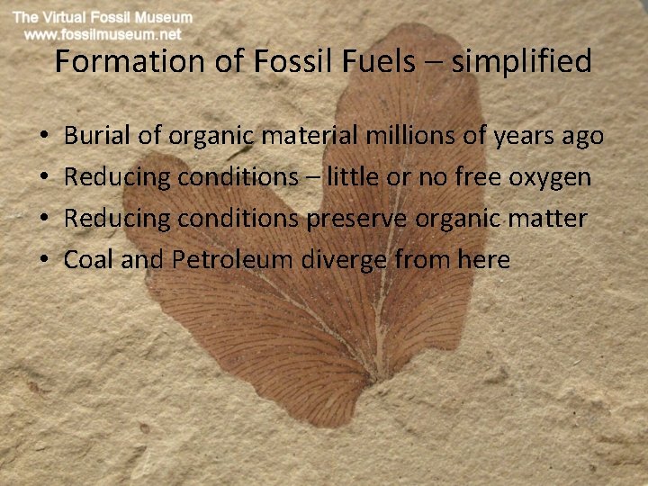 Formation of Fossil Fuels – simplified • • Burial of organic material millions of