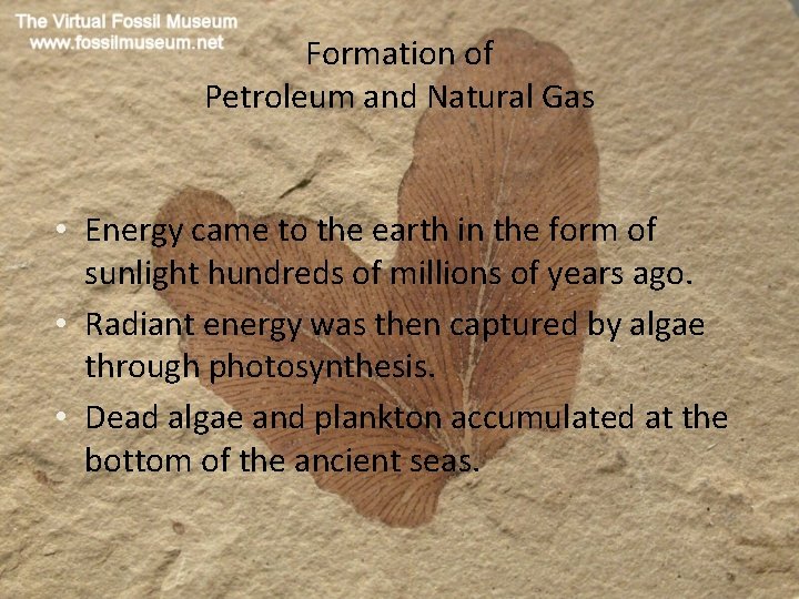 Formation of Petroleum and Natural Gas • Energy came to the earth in the