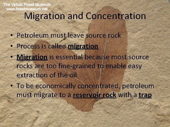 Migration and Concentration • Petroleum must leave source rock • Process is called migration