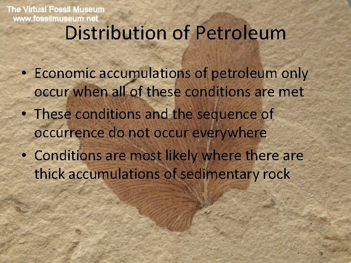 Distribution of Petroleum • Economic accumulations of petroleum only occur when all of these
