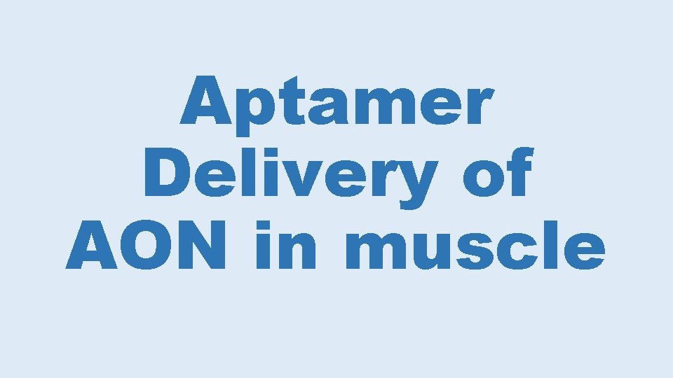 Aptamer Delivery of AON in muscle 