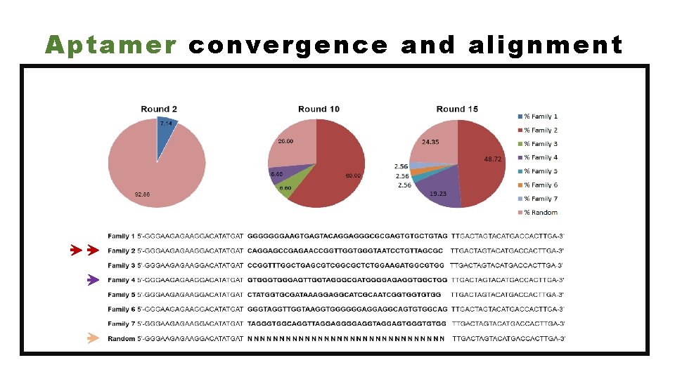 Aptamer convergence and alignment 
