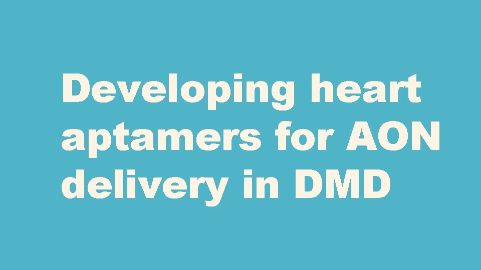 Developing heart aptamers for AON delivery in DMD 