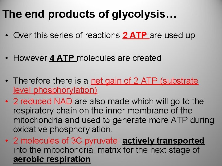 The end products of glycolysis… • Over this series of reactions 2 ATP are