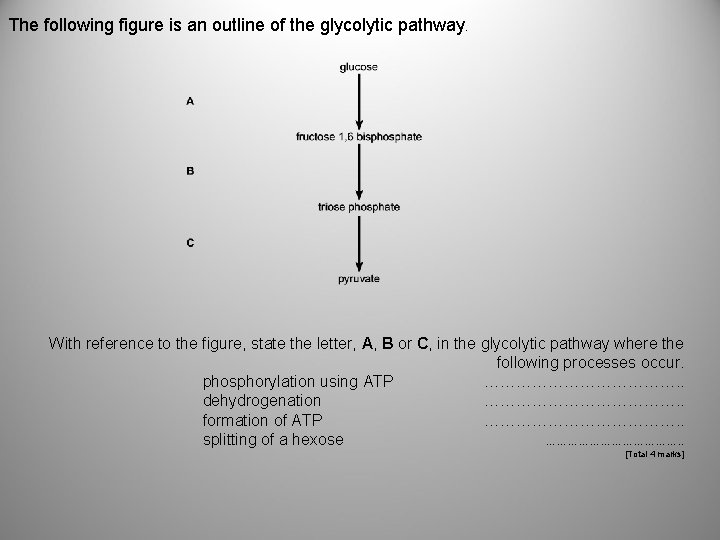 The following figure is an outline of the glycolytic pathway. With reference to the