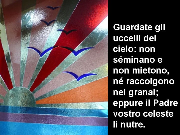 Guardate gli uccelli del cielo: non séminano e non mietono, né raccolgono nei granai;