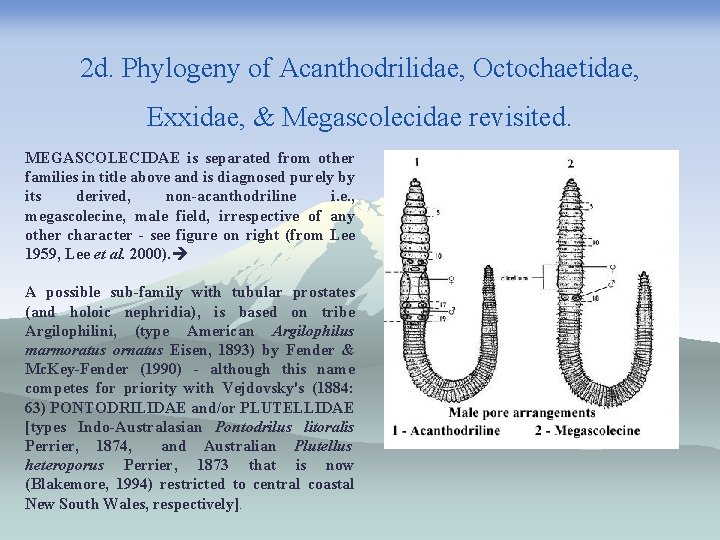 Summary of IOTM 3 International Oligochaeta Taxonomy Meeting