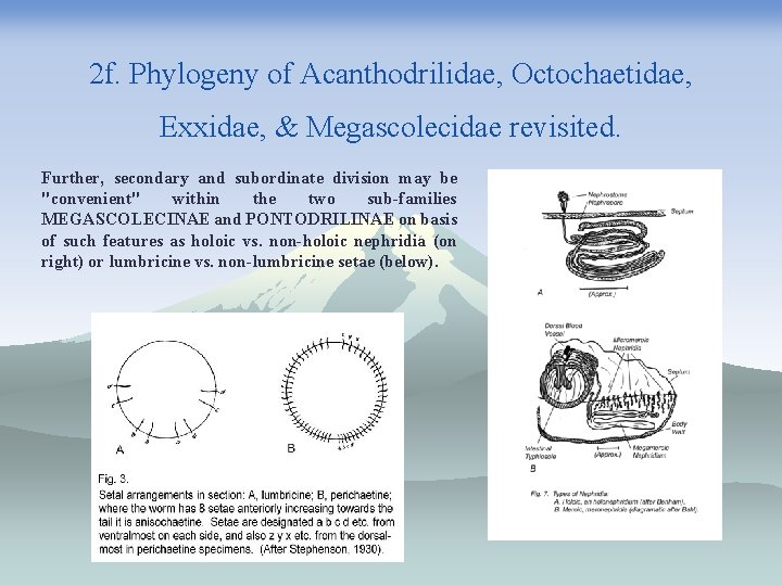 Summary of IOTM 3 International Oligochaeta Taxonomy Meeting
