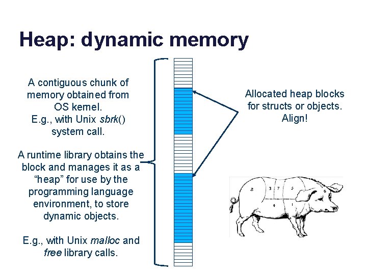 Heap: dynamic memory A contiguous chunk of memory obtained from OS kernel. E. g.