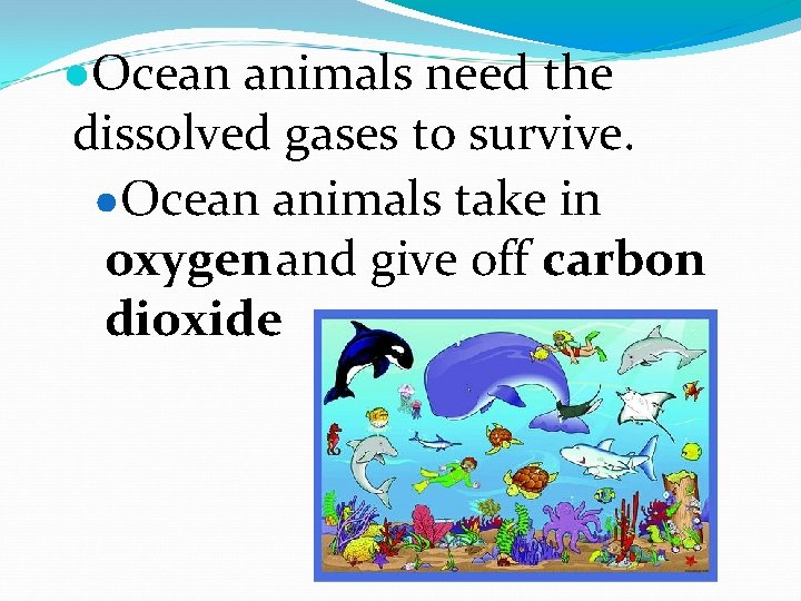 ●Ocean animals need the dissolved gases to survive. ●Ocean animals take in oxygen and ●Ocean animals need the dissolved gases to survive. ●Ocean animals take in oxygen and