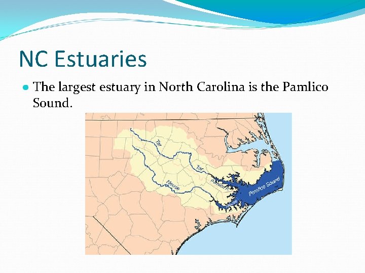 NC Estuaries ● The largest estuary in North Carolina is the Pamlico Sound. NC Estuaries ● The largest estuary in North Carolina is the Pamlico Sound.