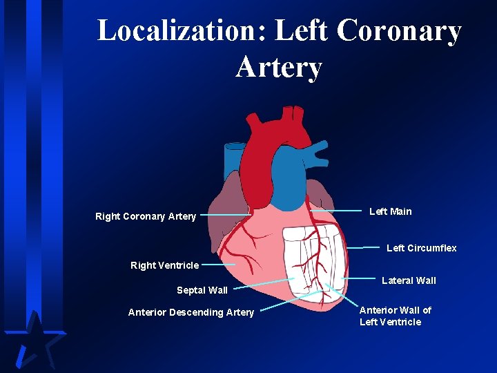 Localization: Left Coronary Artery Right Coronary Artery Left Main Left Circumflex Right Ventricle Septal