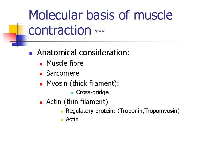 Molecular basis of muscle contraction *** n Anatomical consideration: n n n Muscle fibre