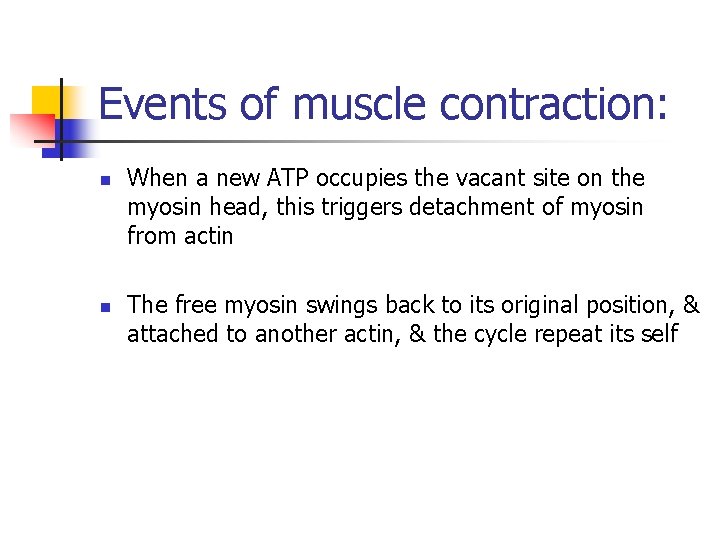 Events of muscle contraction: n n When a new ATP occupies the vacant site