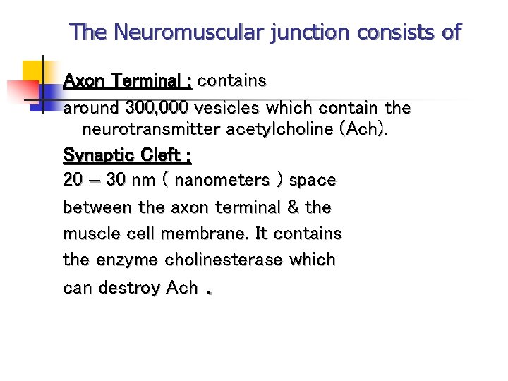 The Neuromuscular junction consists of Axon Terminal : contains around 300, 000 vesicles which