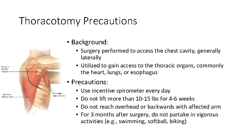 Thoracotomy Precautions • Background: • Surgery performed to access the chest cavity, generally laterally