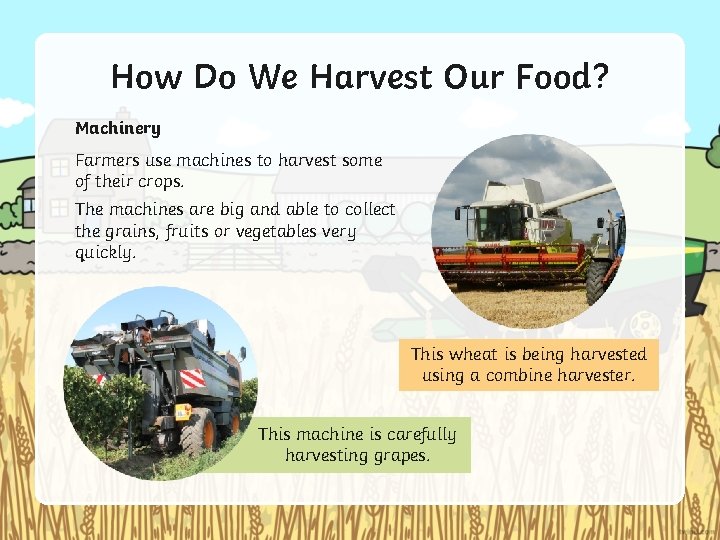 How Do We Harvest Our Food? Machinery Farmers use machines to harvest some of