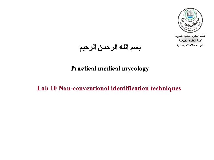  ﺑﺴﻢ ﺍﻟﻠﻪ ﺍﻟﺮﺣﻤﻦ ﺍﻟﺮﺣﻴﻢ Practical medical mycology Lab 10 Non-conventional identification techniques 